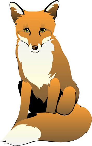 Foxes Fox picture
